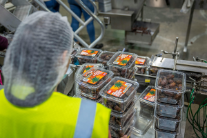 Worker inspecting packaged dates to ensure food safety and air quality in a manufacturing facility.