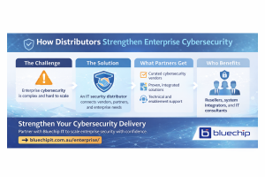 Enterprise cybersecurity distribution infographic.