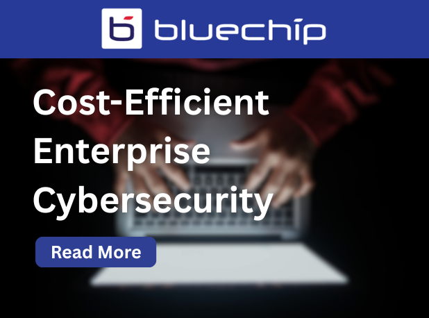 Cost Efficient Enterprise Cybersecurity Blog Banner